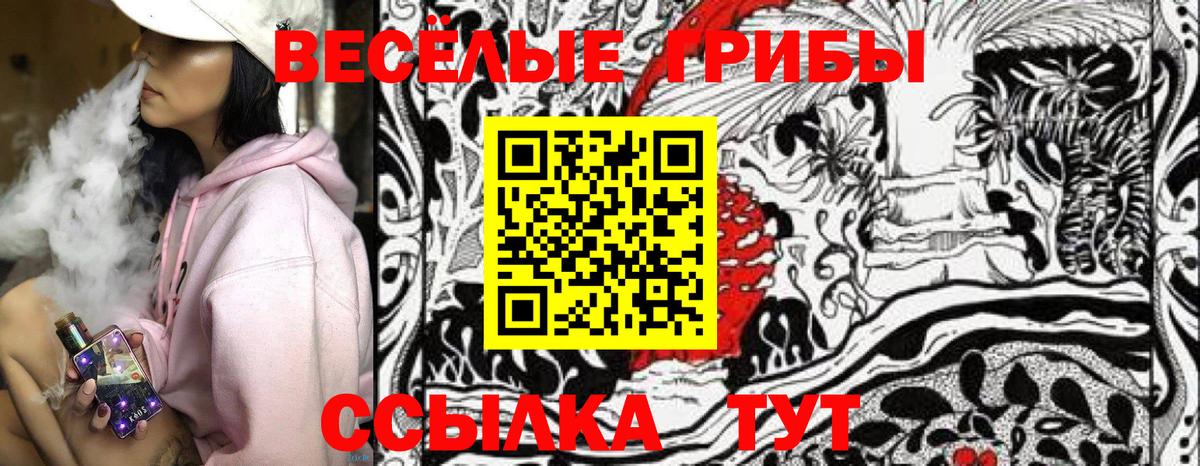 Псилоцибиновые грибы мицелий Саяногорск