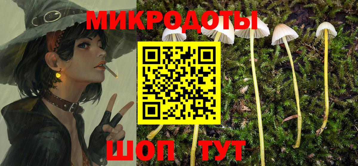 Псилоцибиновые грибы MAGIC MUSHROOMS  Вход с VPN  Саяногорск  Галлюциногенные грибы GOLDEN TEACHER 